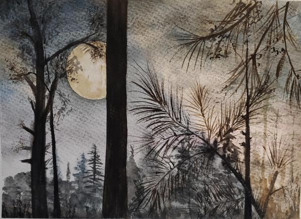 Pines at Night