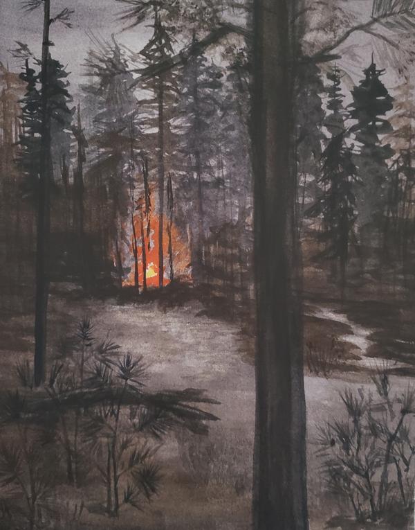 Campfire in the Pine Barrens