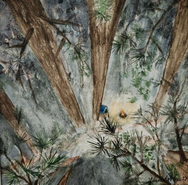 Birds Eye View Campsite #1