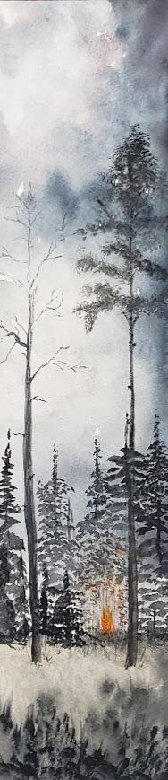 Pine Barrens Campfire